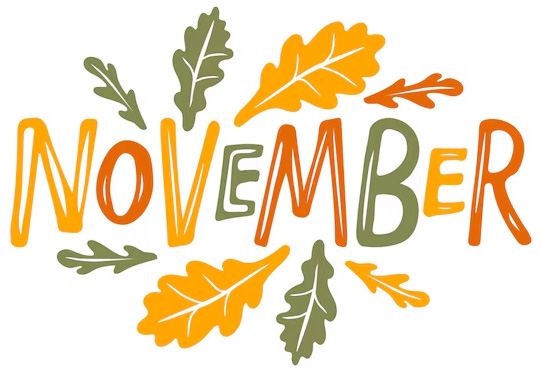 November Newsletter